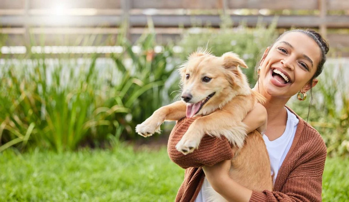 Éducation canine à domicile à Joinville-le-Pont