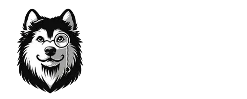 KOOL DOG